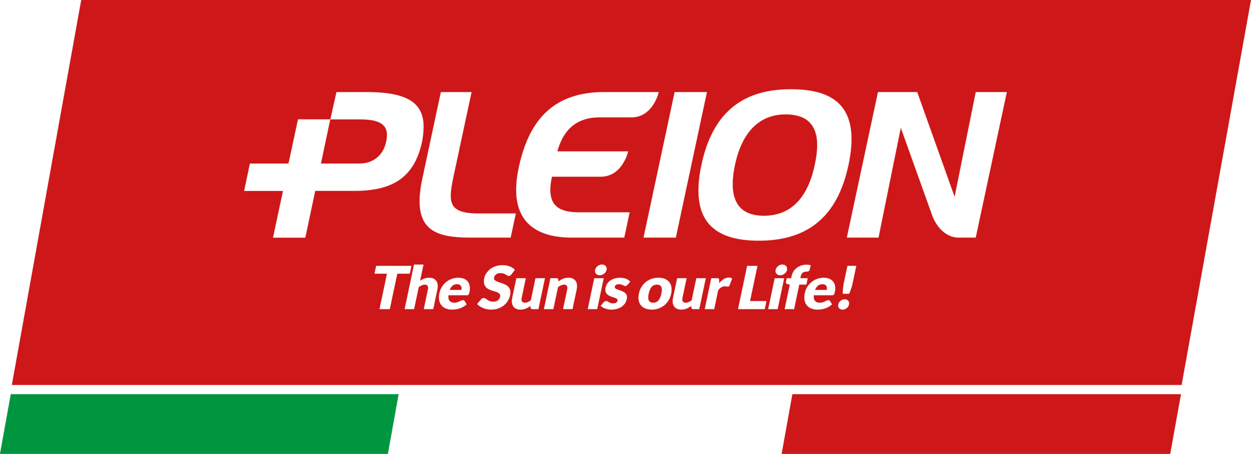 Pleion S.P.A logo